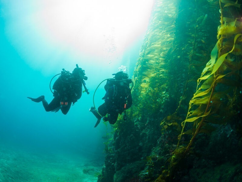 Combinaison étanche (Dry Suit) PADI