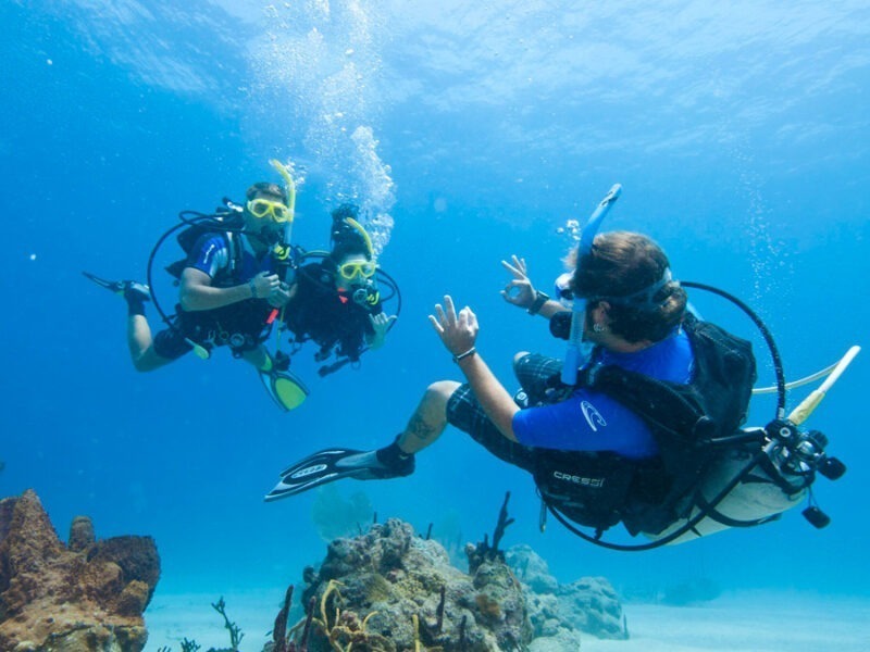 Divemaster PADI