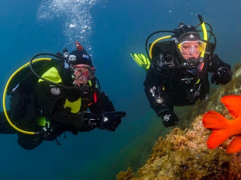 Formation: Combinaison étanche (Dry Suit)