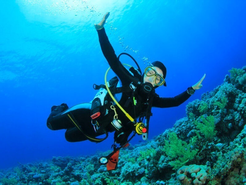 Flottabilité (Elearning)