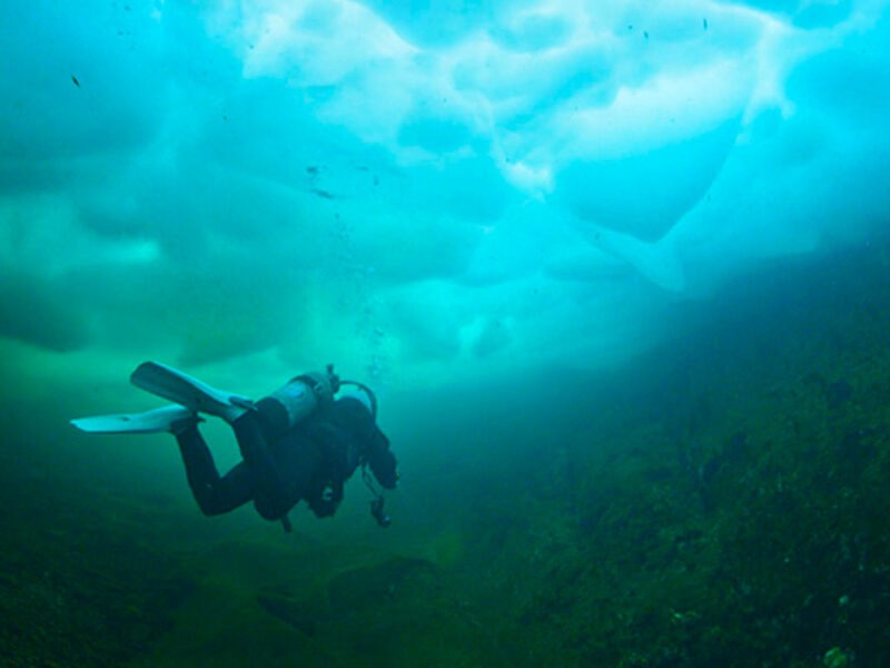 Cours: Sous glace (Ice Diver)